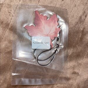 Pumpkin Bay Leaf Car Air Freshener